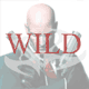 wild symbol on Hitman video slot