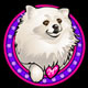 dog - bonus symbol 